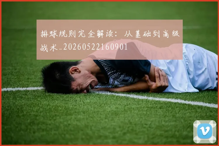 排球规则完全解读：从基础到高级战术_20260522160901